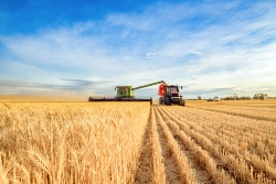 IL Farm Accounting